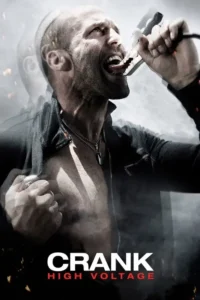 18 crank high voltage 2009
