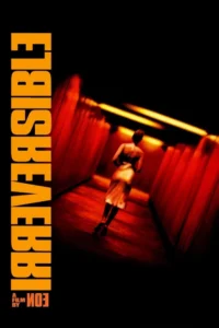 18 irreversible 2002
