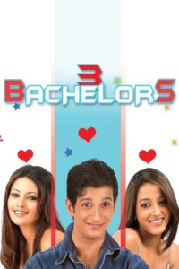 3 bachelors 2012