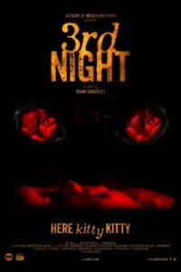 3rd night 2017