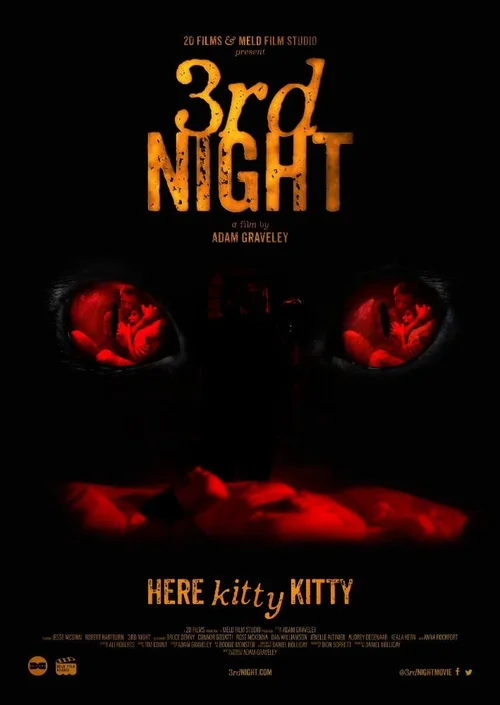 3rd night 2017