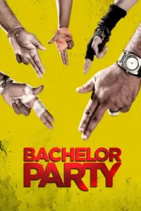 bachelor party 2012