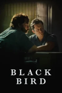 black bird 2022