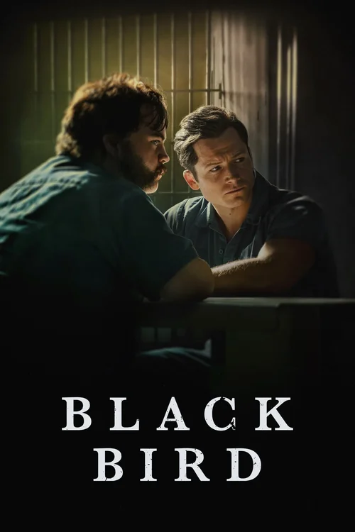 black bird 2022