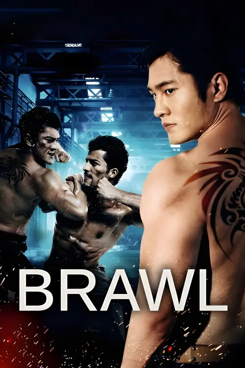 brawl 2012