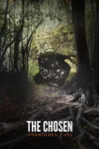 cave 2015