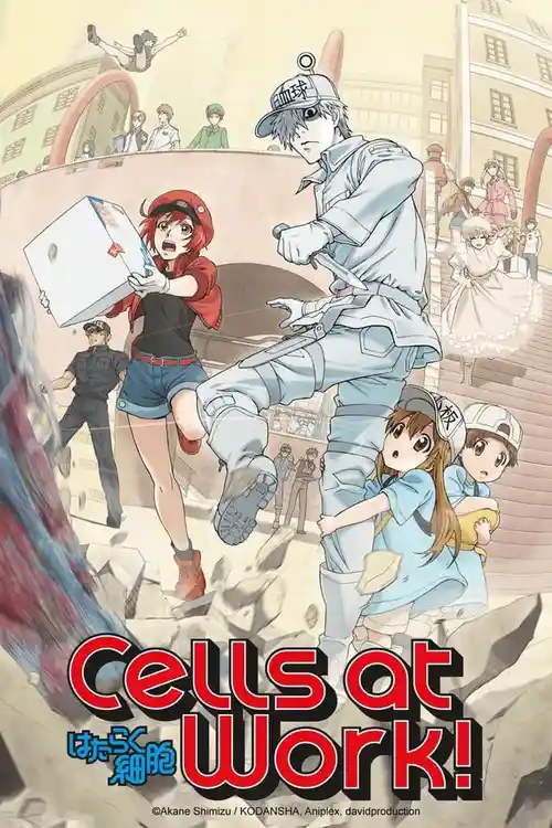 Download Cells at Work! (Season 1) Multi Audio {Hindi English Japanese} Anime Series 480p 720p & 1080p Blu Ray 19 cells at work season 1