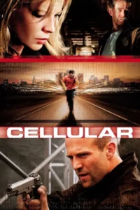 cellular 2004