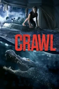 crawl 2019
