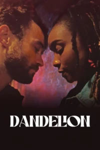 dandelion 2024