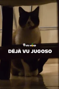 deja vu 2019