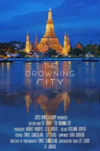 drowning city 2010