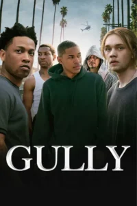 gully 2019