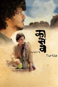 kaasav turtle 2017