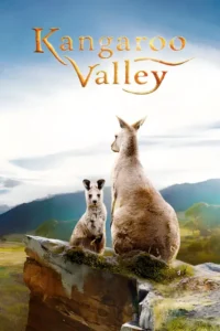 kangaroo valley 2022