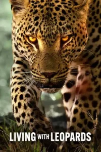 living with leopards 2024