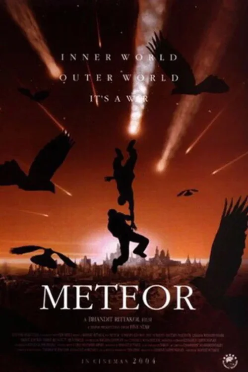 meteor 2004
