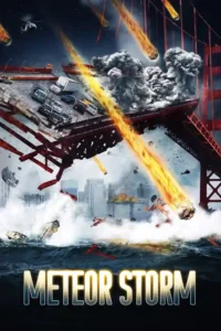 meteor storm 2010