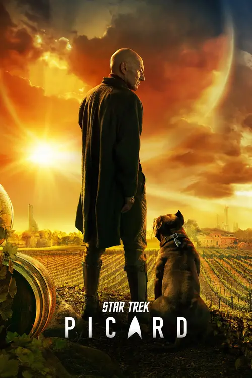 netflix star trek picard 2020