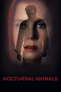 nocturnal animals 2016