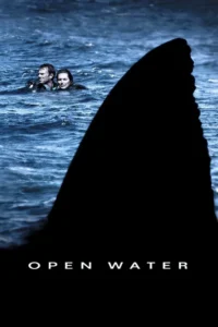open water 2003