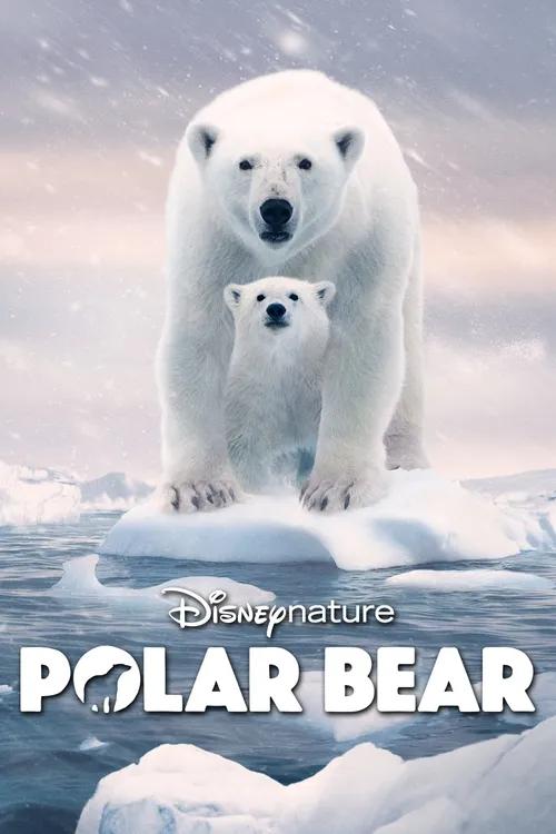 polar bear 2022