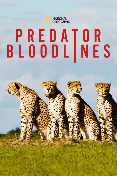 predator bloodlines 2021
