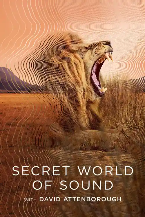 Download Secret World of Sound with David Attenborough – S01 (2024) Dual Audio {Hindi English} WEB Series 720p & 1080p WEB DL 3 secret world of sound with david attenborough s01 2024