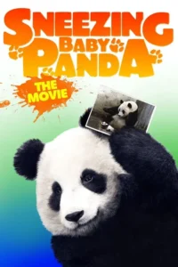 sneezing baby panda 2015