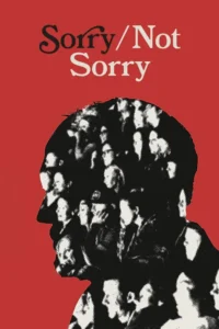sorry not sorry 2023
