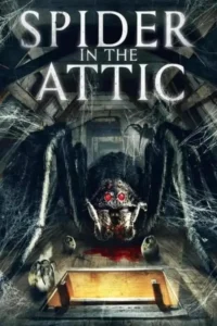 spider in the attic 2021