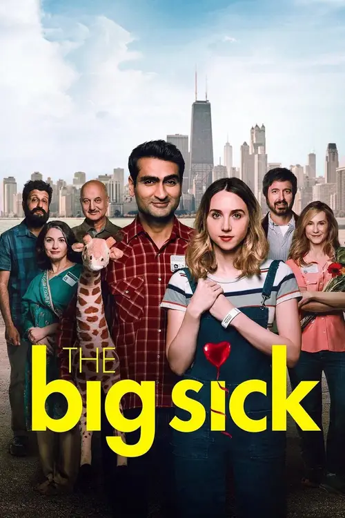 the big sick 2017