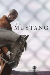 the mustang 2019