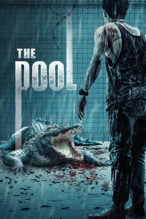 the pool 2018