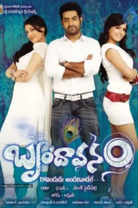 the super khiladi brindavanam 2010