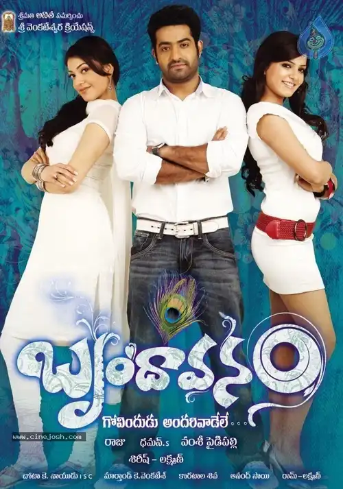 the super khiladi brindavanam 2010