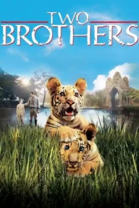 two brothers 2004