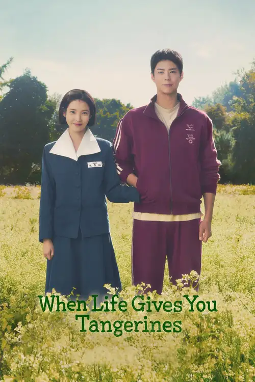 Download When Life Gives You Tangerines (2025) Season 1 Multi Audio {Hindi English Korean} NetFlix Series 480p | 720p | 1080p WEB DL 12 when life gives you tangerines 2025